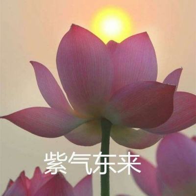 三石游戏库官方版下载