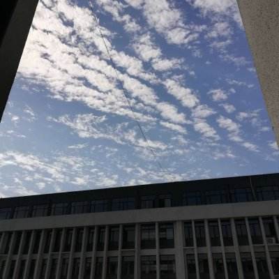 鸿蒙传说手游官方